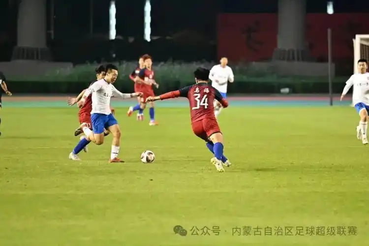 海量高清视频免费观看